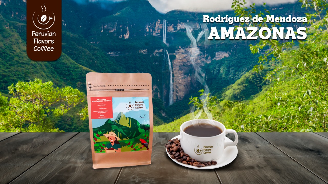 Región cafetalera de Amazonas, Perú